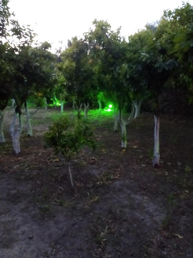 Περιβόλι του Οδυσσέα Βίλα Βολισσός Εξωτερικό φωτογραφία